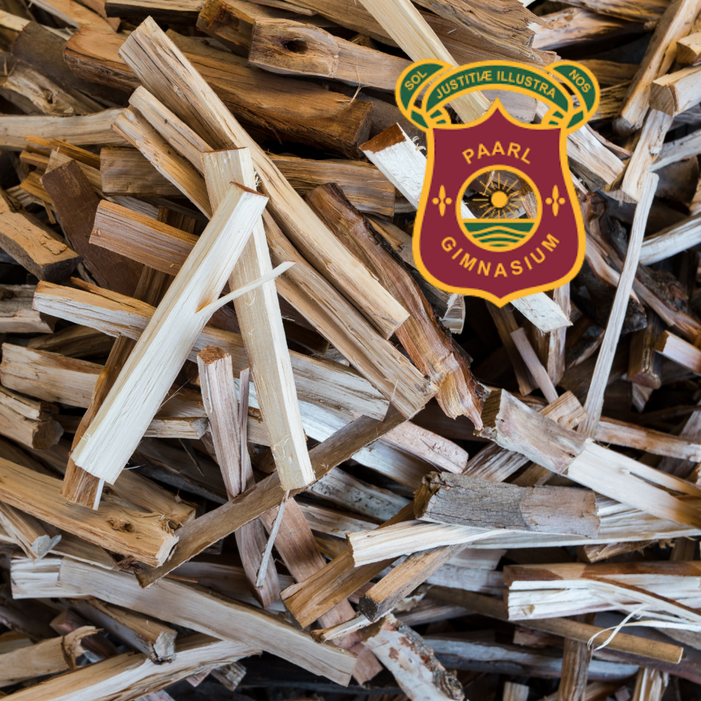 Gimnasium | Fire Starters | 4Kg